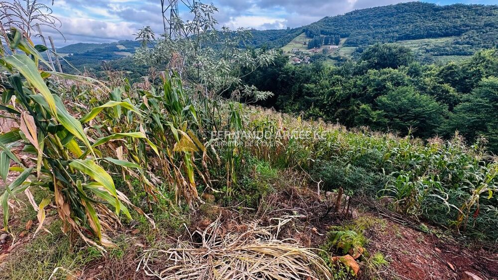 Terreno, 700 m² - Foto 6