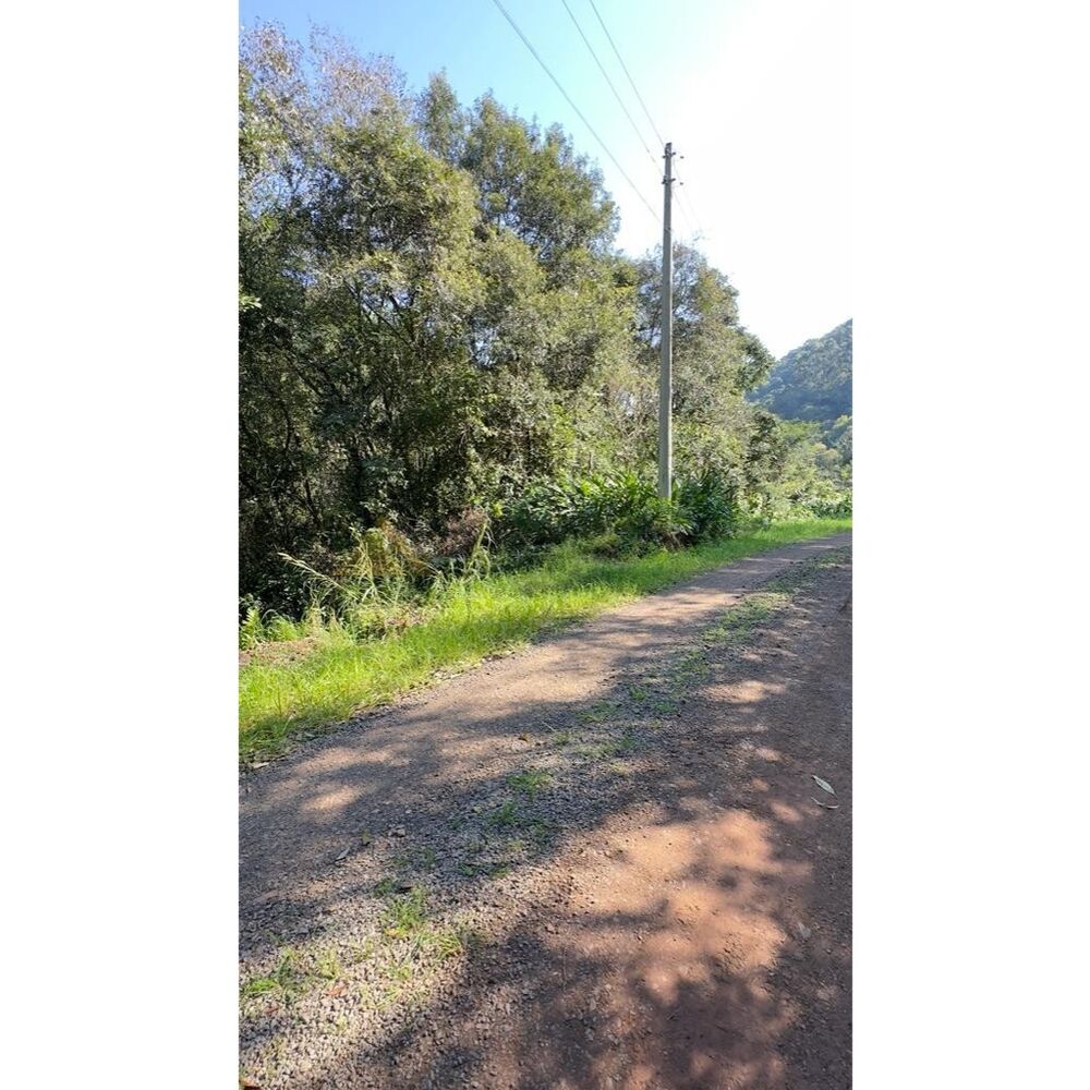 Sítio à venda, 20000m² - Foto 9