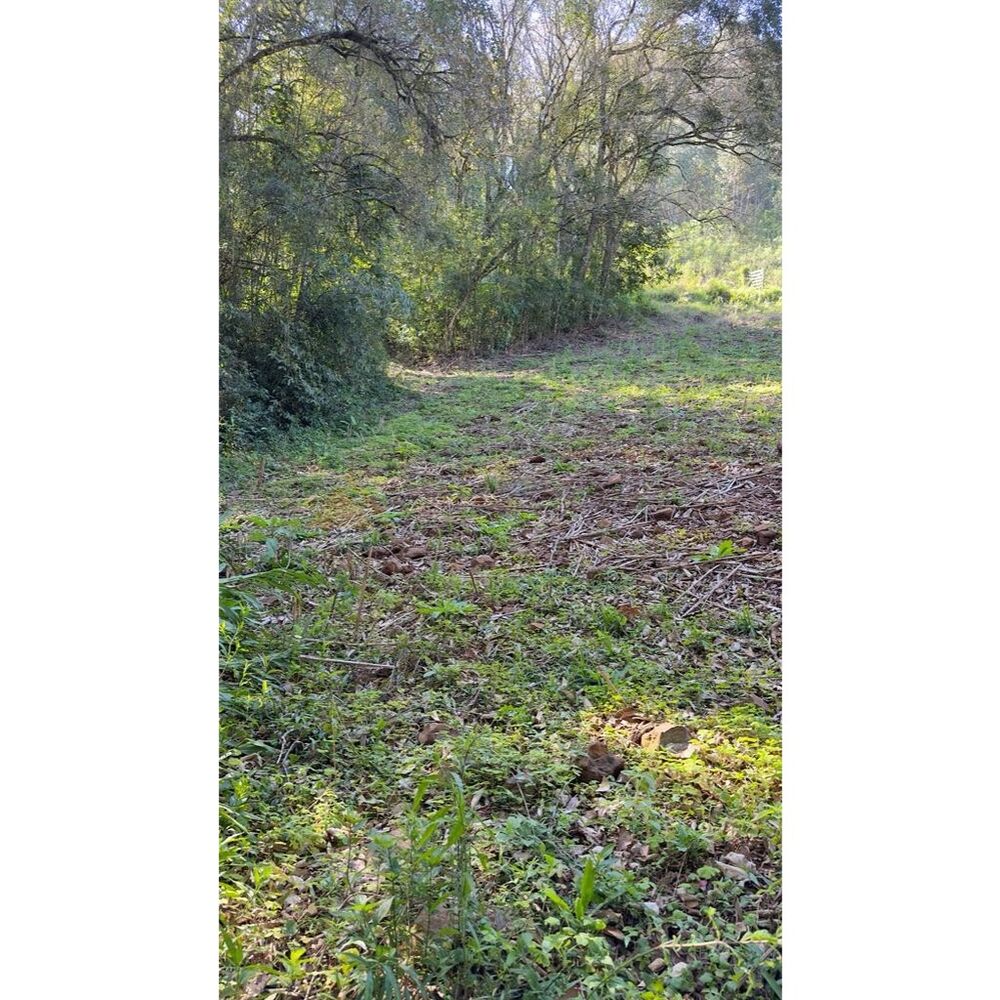 Sítio à venda, 20000m² - Foto 12
