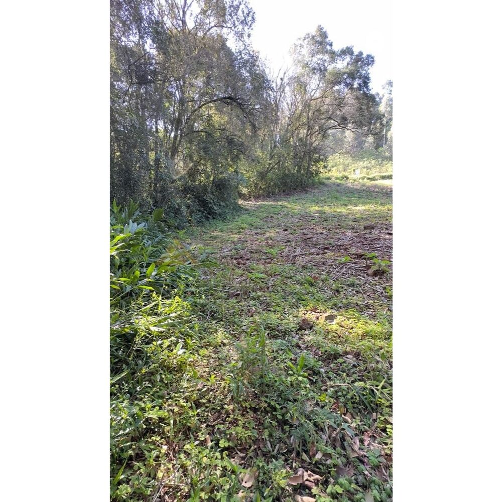Sítio à venda, 20000m² - Foto 11