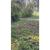 Sítio, 2 hectares - Foto 12
