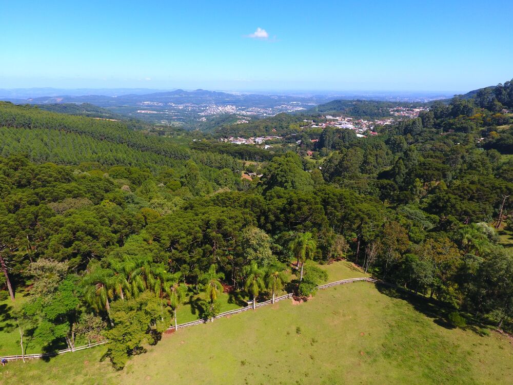 Fazenda, 7 hectares - Foto 6