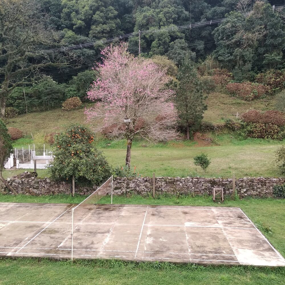 Fazenda, 7 hectares - Foto 15