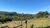 Sítio, 2 hectares - Foto 4