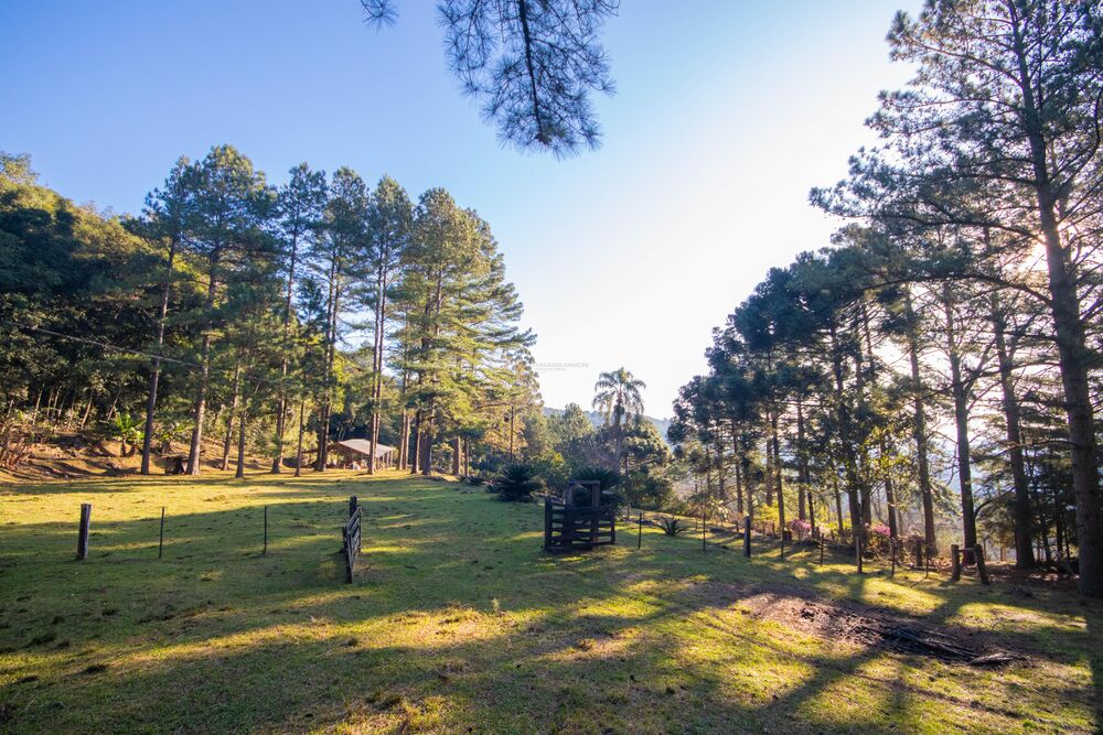 Sítio, 3 quartos, 3 hectares - Foto 4