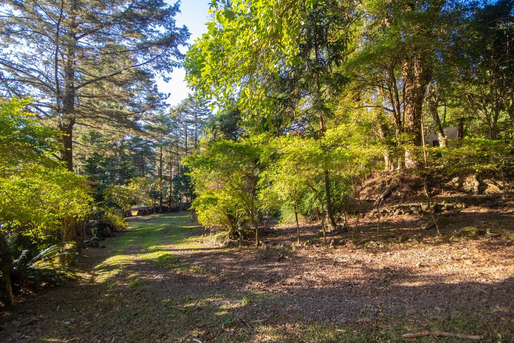 Sítio, 3 quartos, 3 hectares - Foto 16