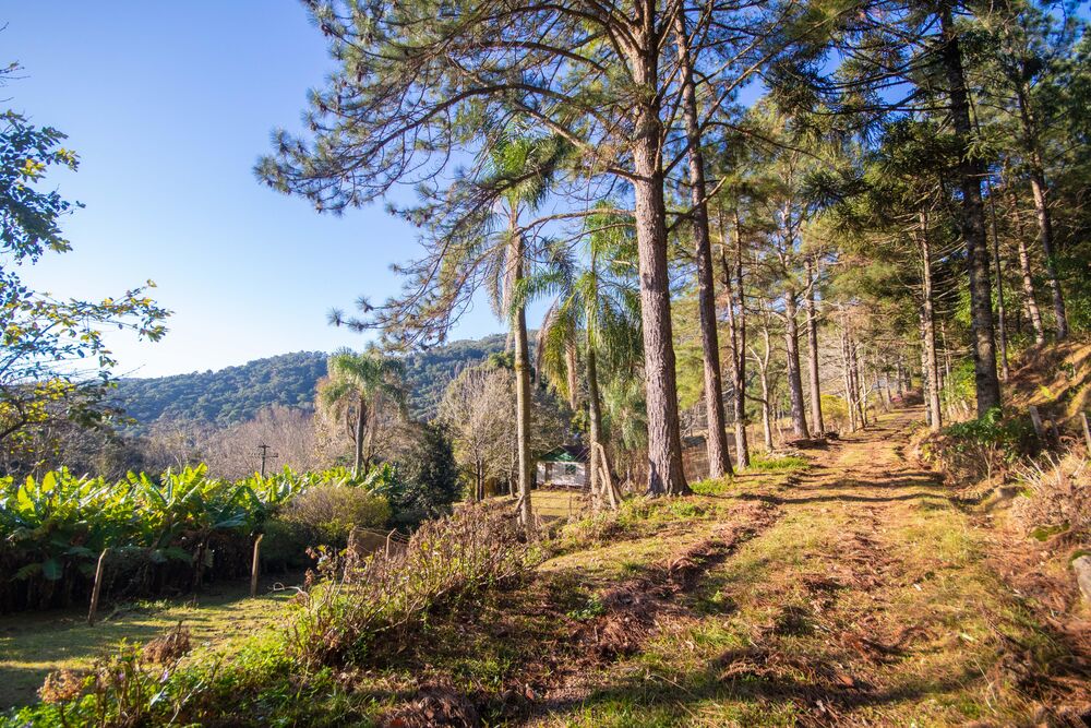Sítio, 3 quartos, 3 hectares - Foto 12