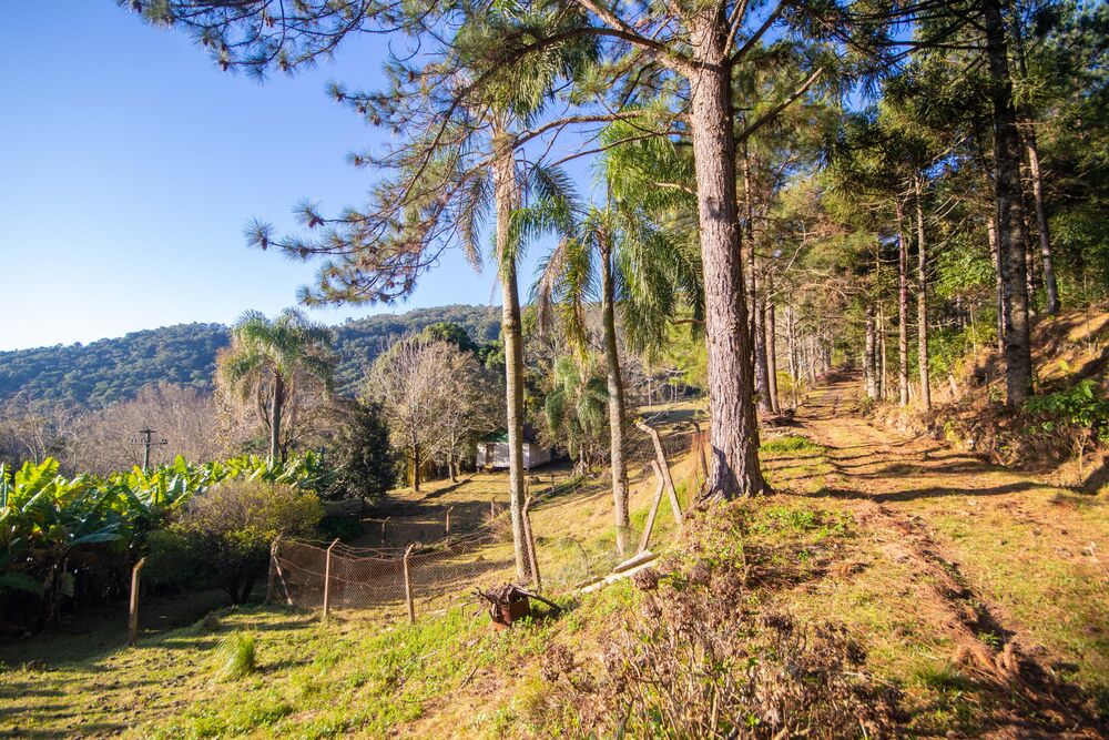Sítio, 3 quartos, 3 hectares - Foto 7