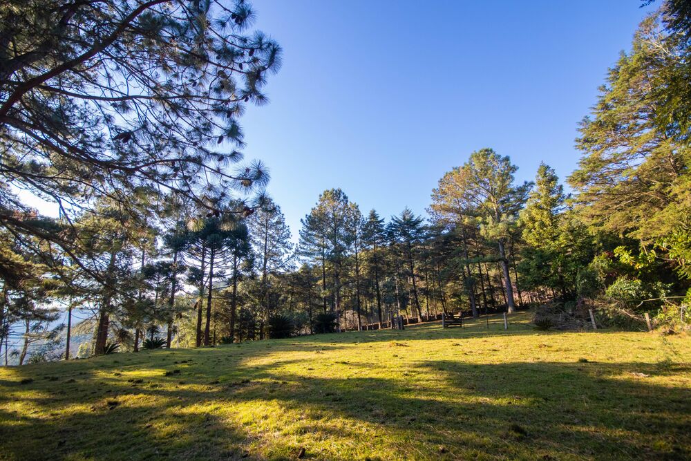 Sítio, 3 quartos, 3 hectares - Foto 8