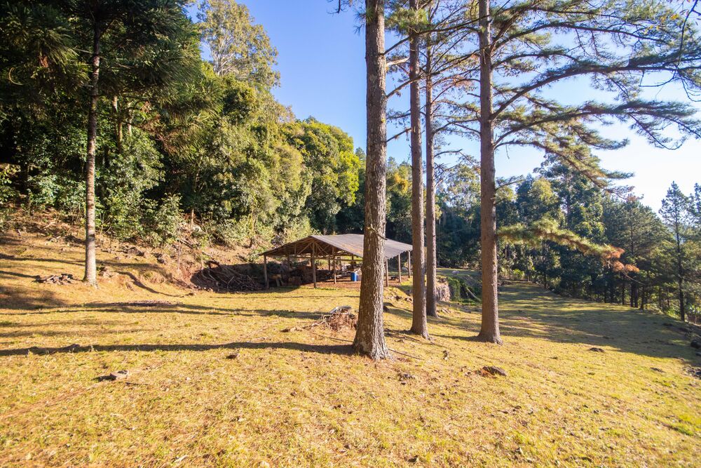 Sítio, 3 quartos, 3 hectares - Foto 14