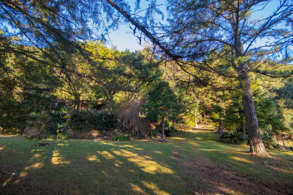 Sítio, 3 quartos, 3 hectares - Foto 2
