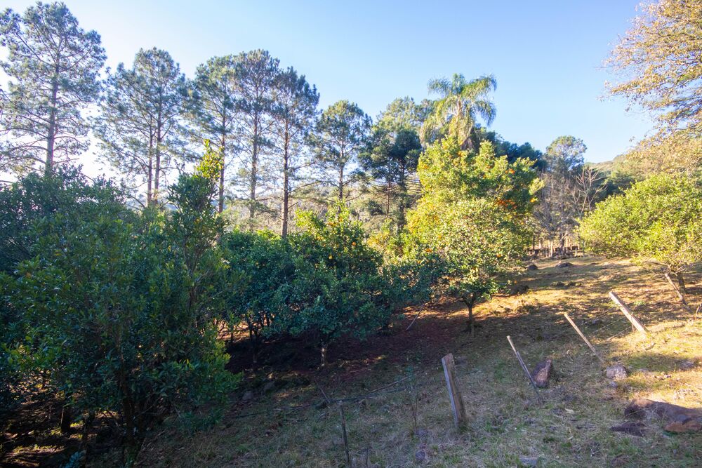 Sítio, 3 quartos, 3 hectares - Foto 13