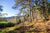 Sítio, 3 quartos, 3 hectares - Foto 3