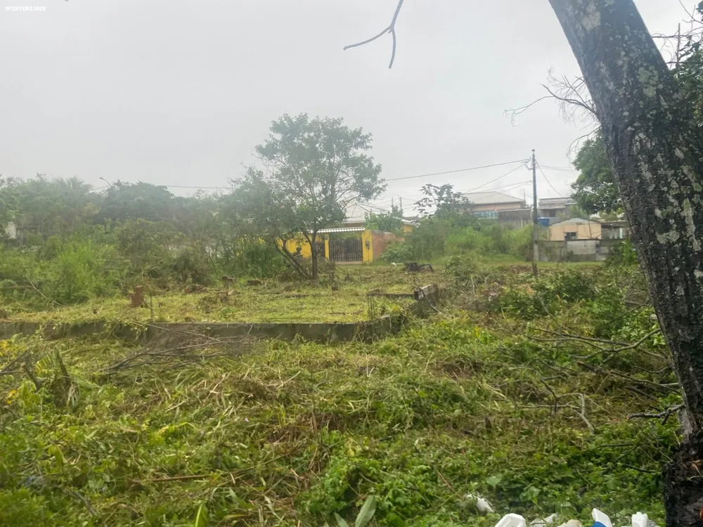 Terreno, 360 m² - Foto 3
