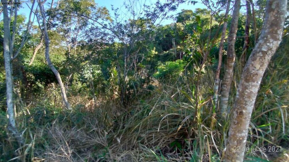 Terreno, 450 m² - Foto 3