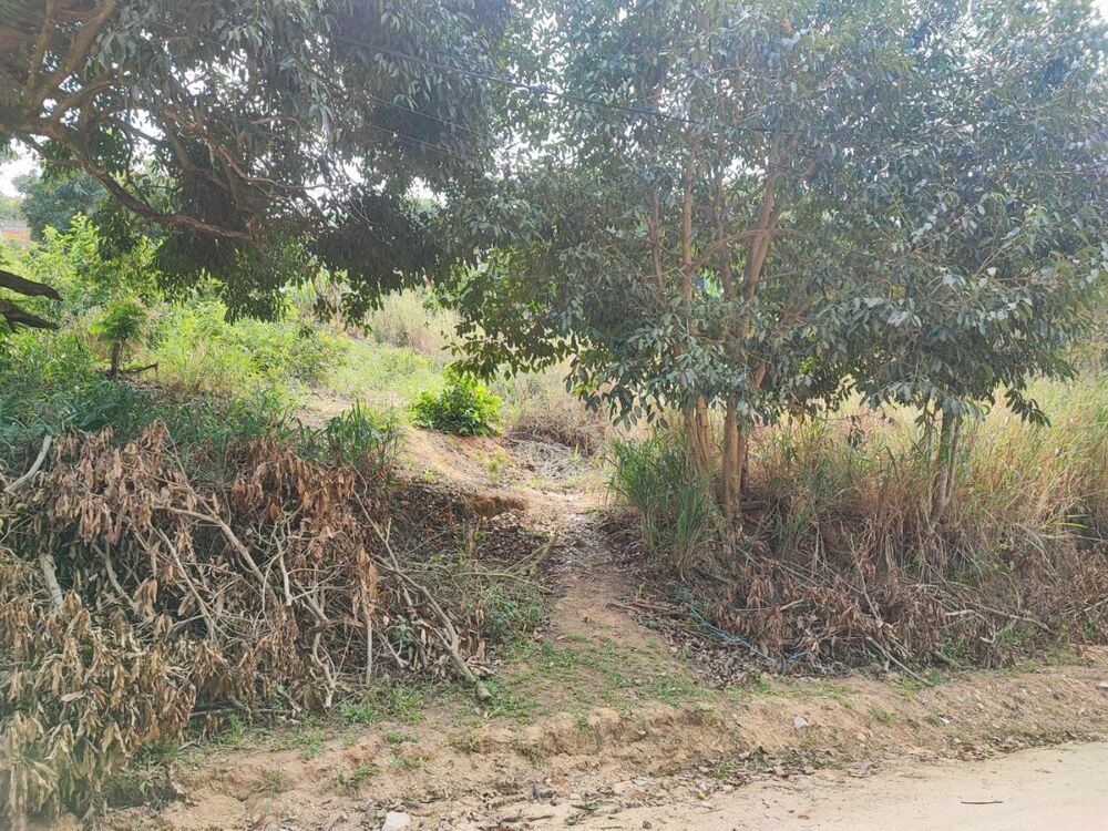 Terreno, 480 m² - Foto 2