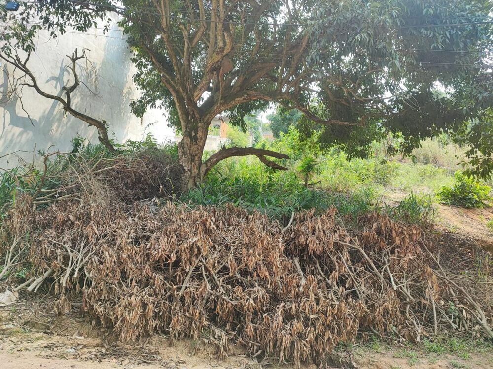 Terreno, 480 m² - Foto 3