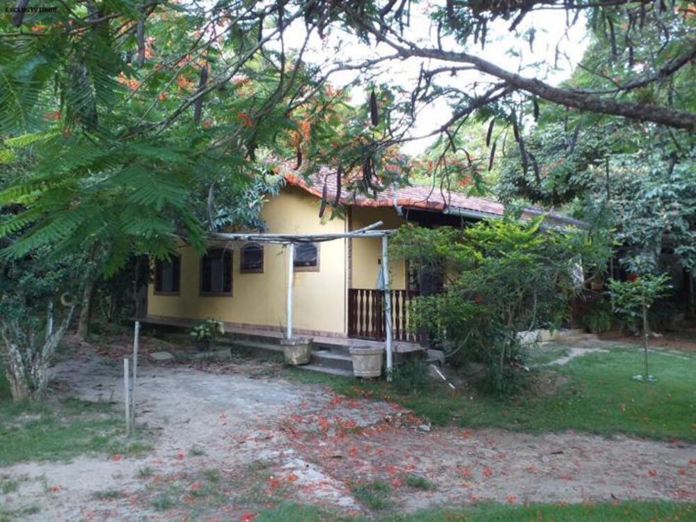 Sítio, 3 quartos, 10000 m² - Foto 10