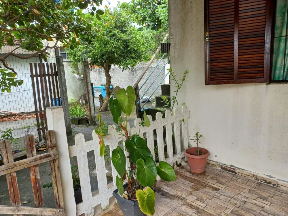 Casa, 3 quartos - Foto 20