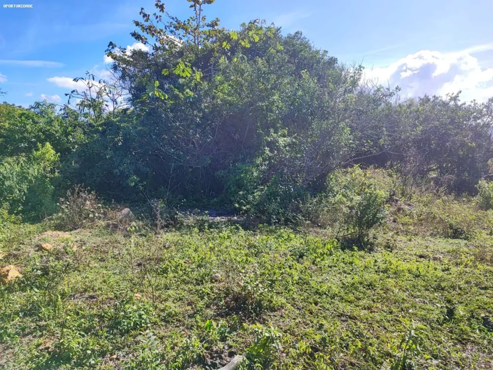 Terreno, 360 m² - Foto 2