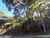 Terreno, 1172 m² - Foto 6