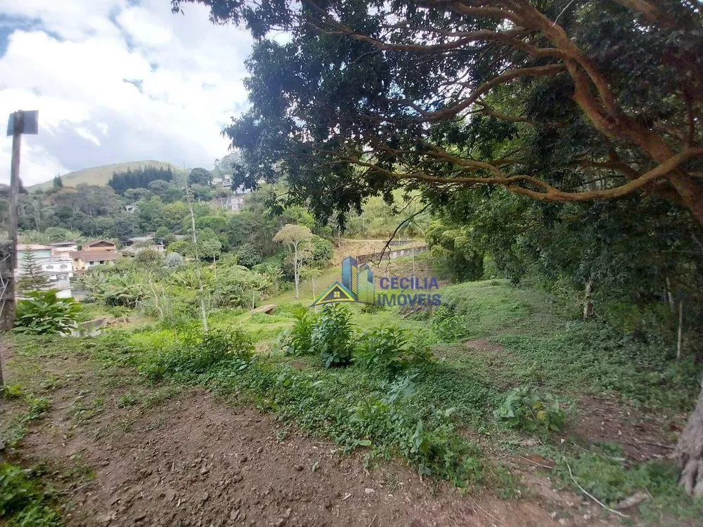 Chácara, 2 quartos, 2 hectares - Foto 20