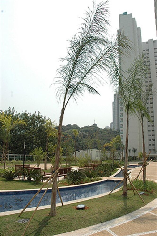 Apartamento, 3 quartos, 172 m² - Foto 5