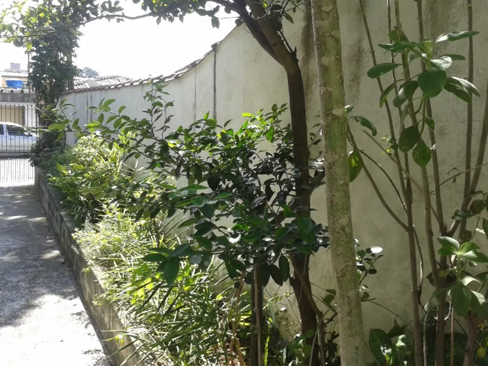 Casa, 3 quartos, 180 m² - Foto 20