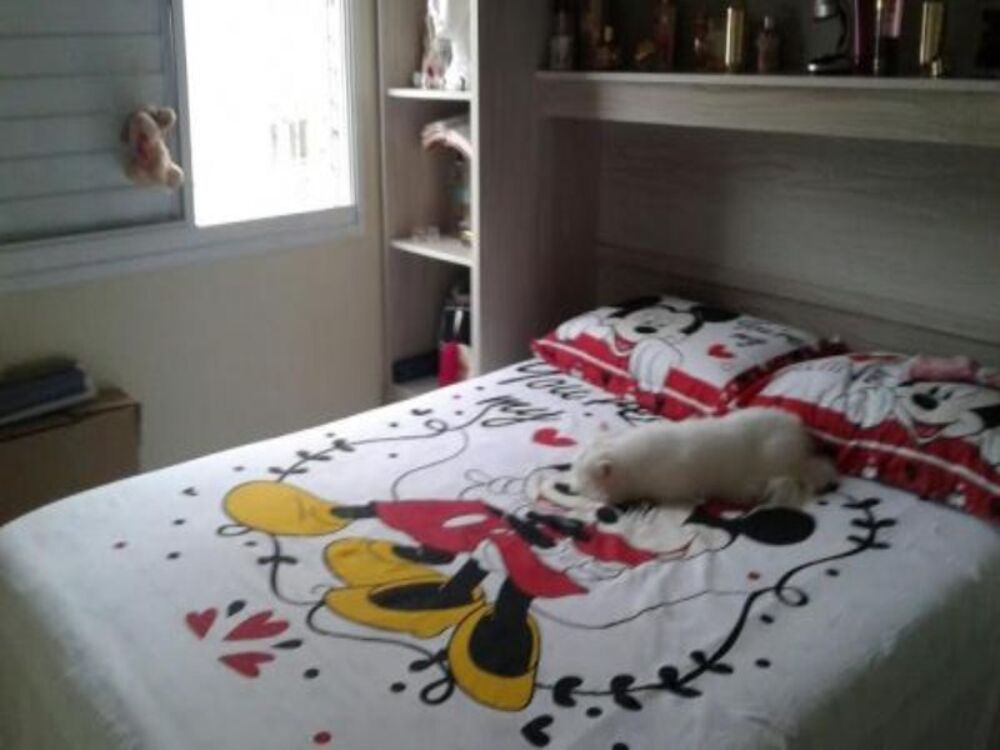 Apartamento, 3 quartos, 61 m² - Foto 5