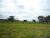 Fazenda, 9 hectares - Foto 4
