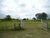 Fazenda, 9 hectares - Foto 3