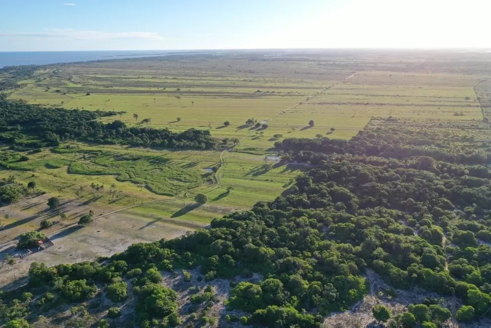 Fazenda, 5 hectares - Foto 5