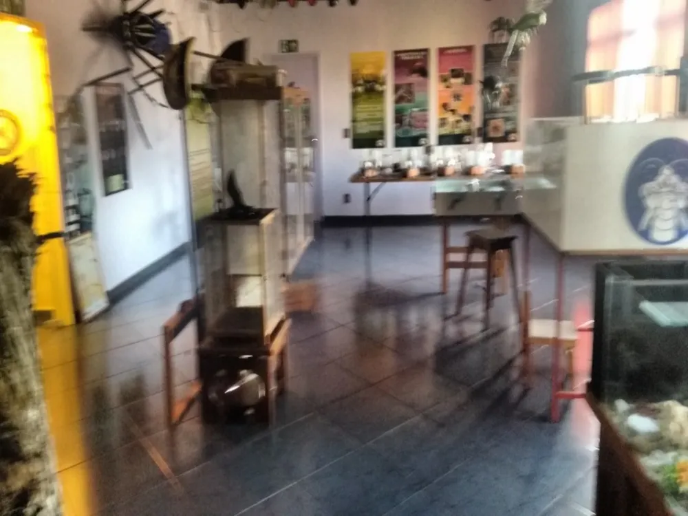 Prédio Inteiro, 2000 m² - Foto 16
