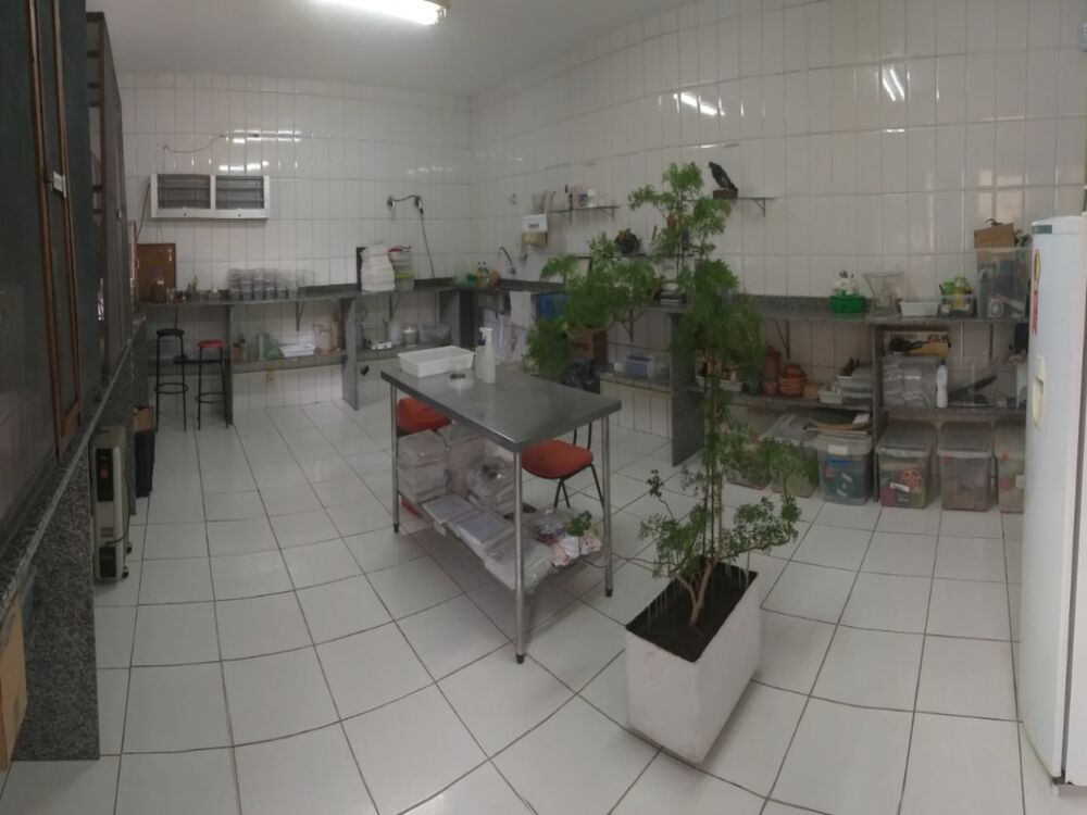 Prédio Inteiro, 2000 m² - Foto 2