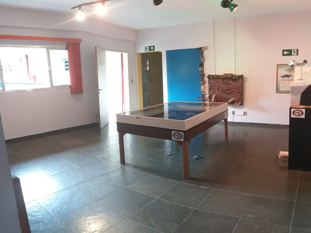 Prédio Inteiro, 2000 m² - Foto 8