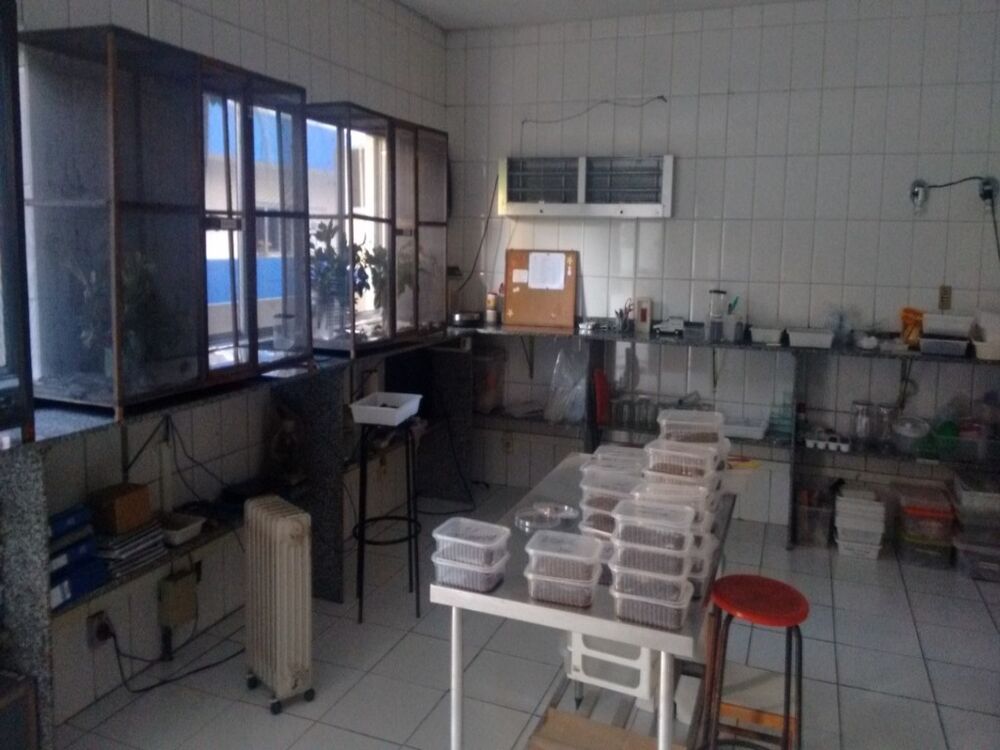 Prédio Inteiro, 2000 m² - Foto 20