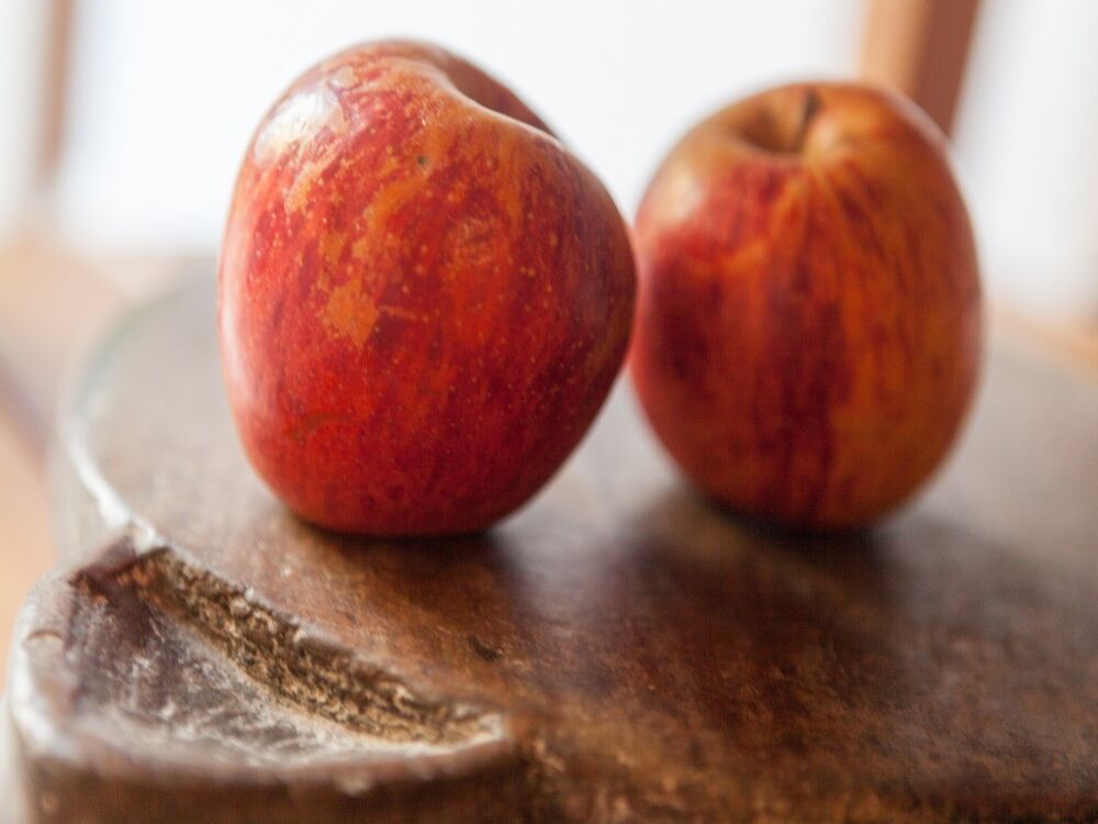 Casa de Condomínio, 6 quartos - Foto 7