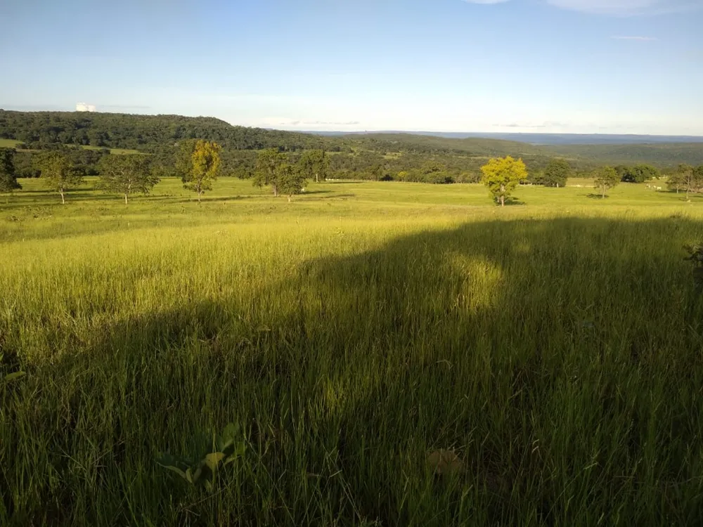 Fazenda, 670 m² - Foto 4