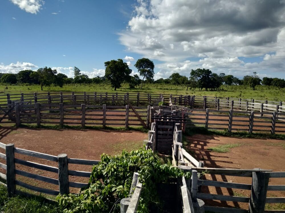 Fazenda, 670 m² - Foto 4