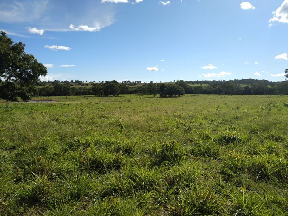 Fazenda, 670 m² - Foto 17