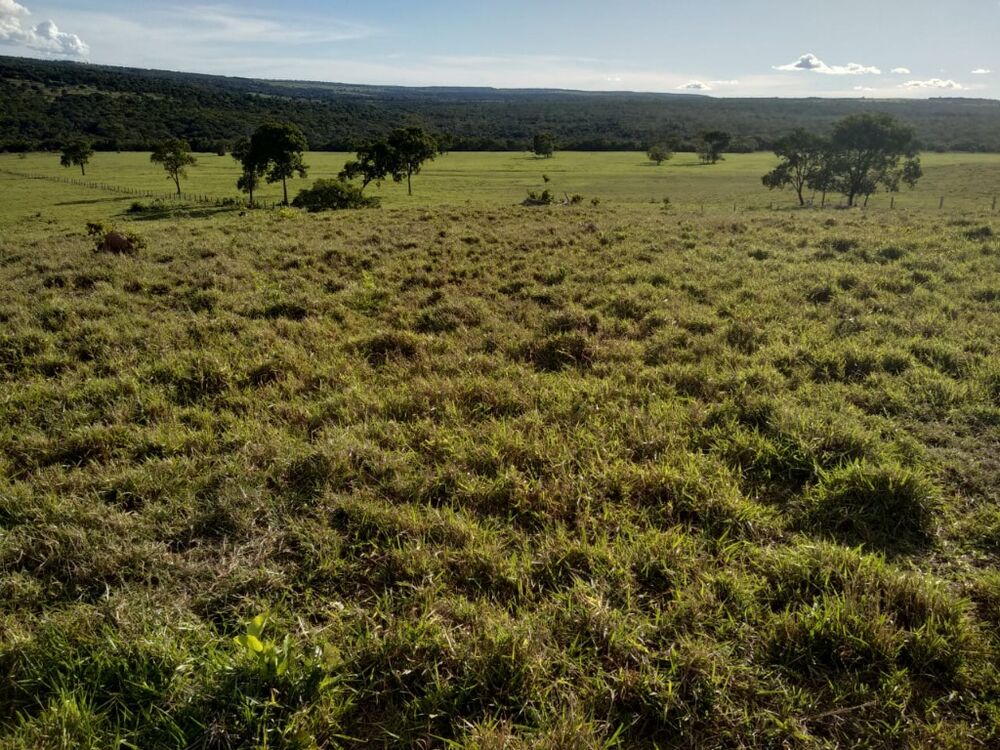 Fazenda, 670 m² - Foto 11