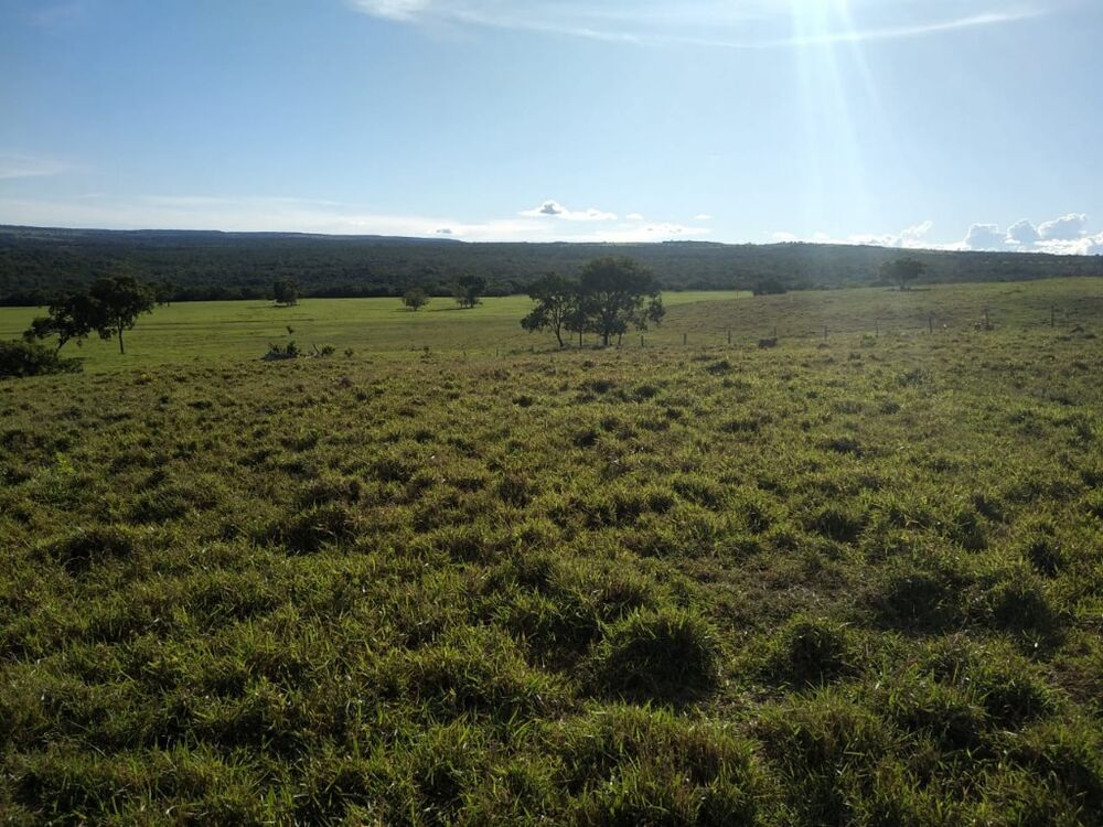 Fazenda, 670 m² - Foto 12
