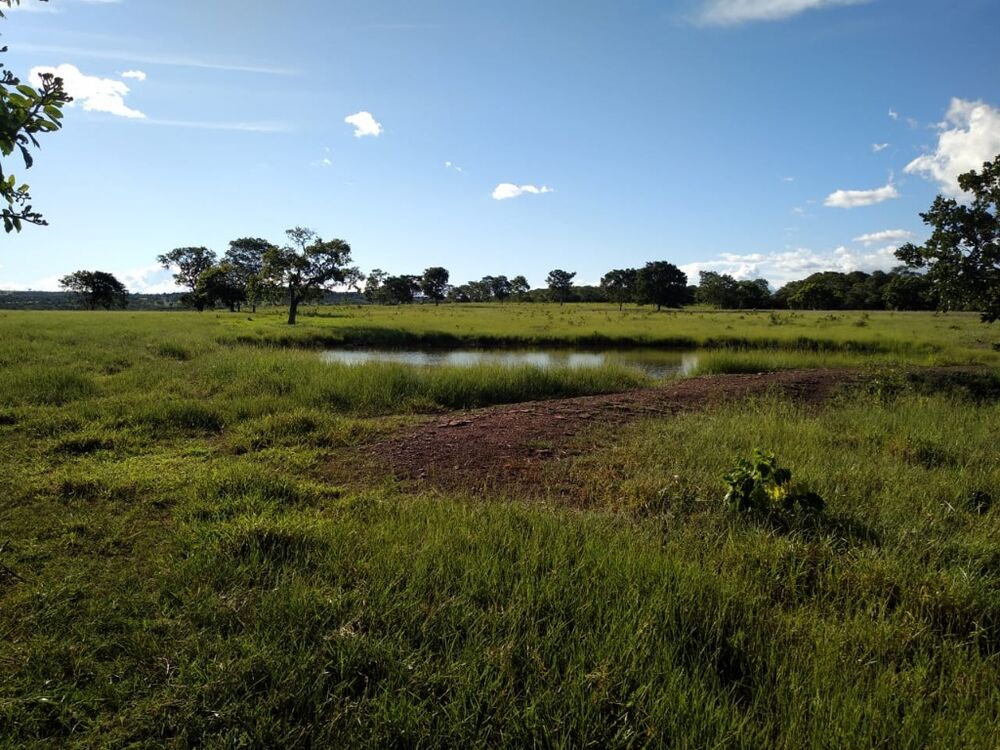 Fazenda, 670 m² - Foto 20