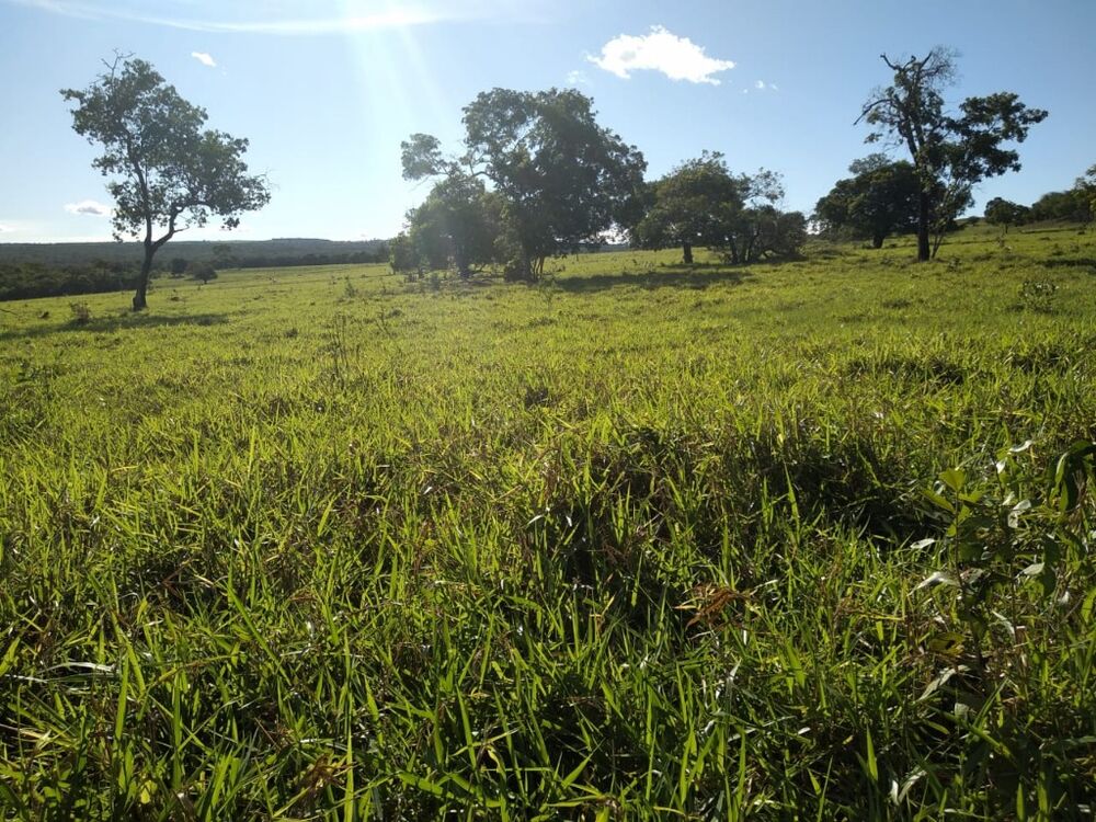 Fazenda, 670 m² - Foto 13