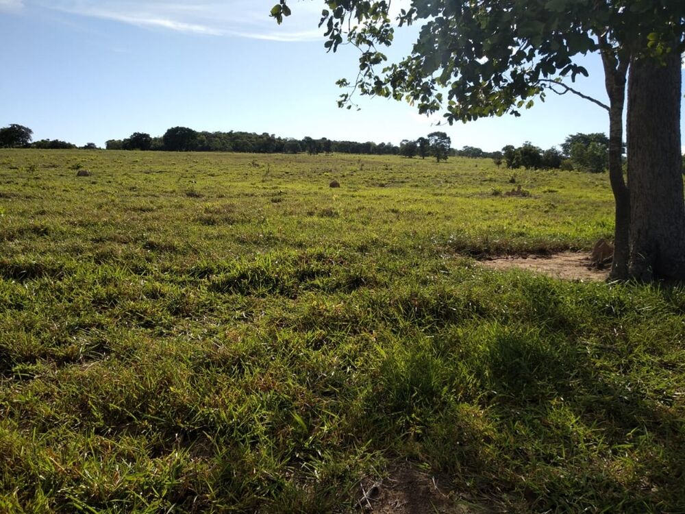Fazenda, 670 m² - Foto 3