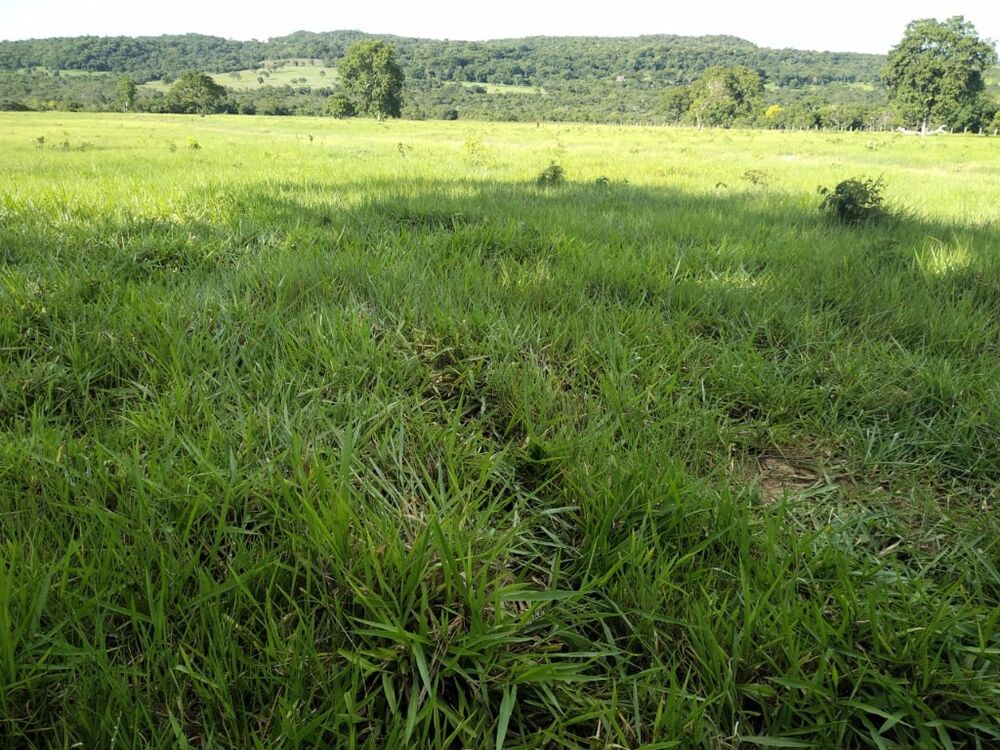 Fazenda, 670 m² - Foto 9