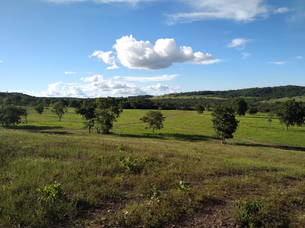 Fazenda, 670 m² - Foto 14