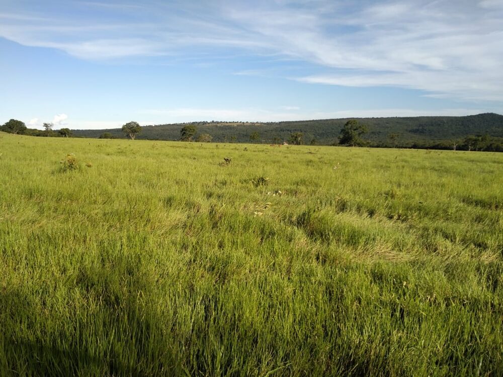 Fazenda, 670 m² - Foto 2