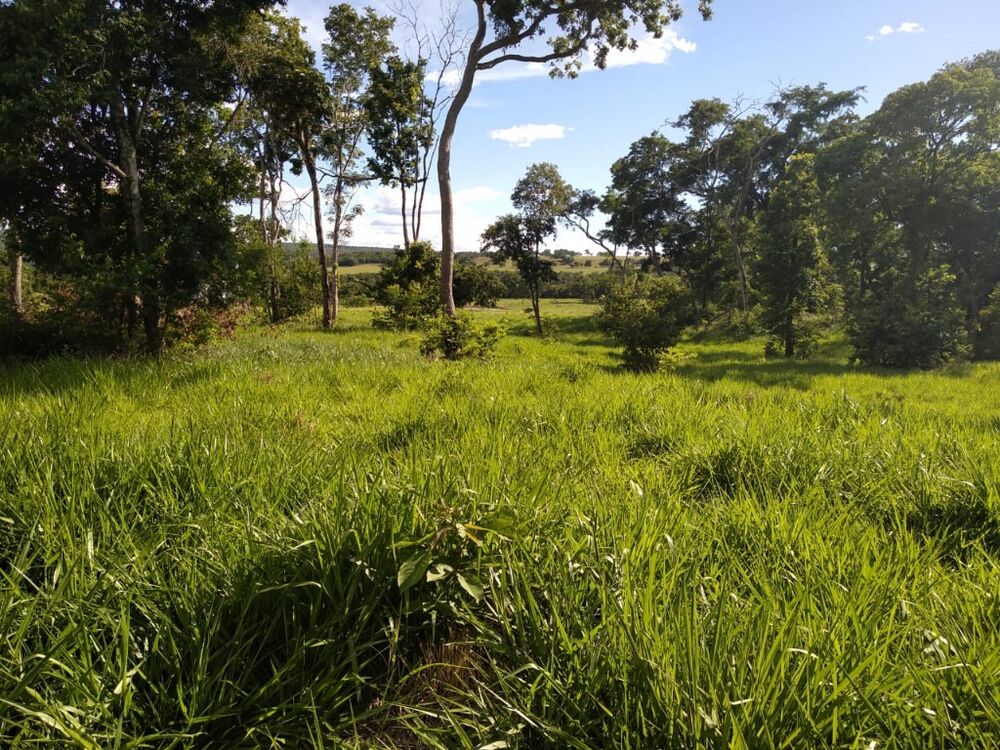 Fazenda, 670 m² - Foto 19