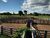 Fazenda, 670 m² - Foto 4